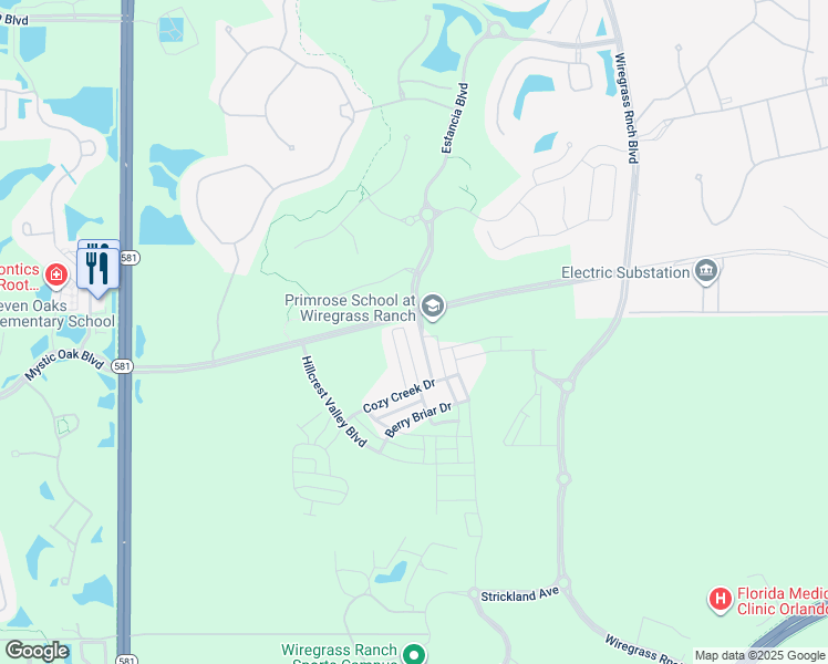 map of restaurants, bars, coffee shops, grocery stores, and more near 3715 Persimmon Park Drive in Wesley Chapel