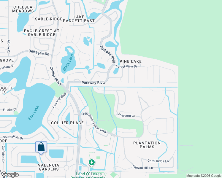 map of restaurants, bars, coffee shops, grocery stores, and more near 23403 Dinhurst Court in Land O' Lakes