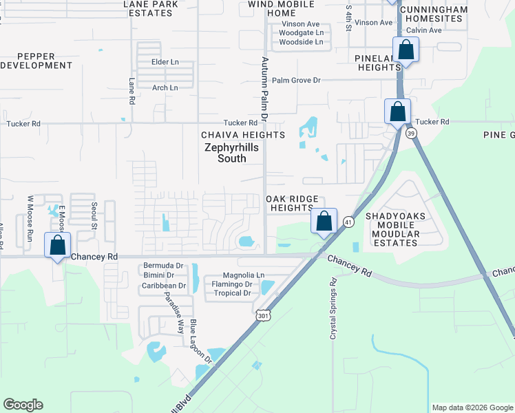 map of restaurants, bars, coffee shops, grocery stores, and more near Brice Street in Zephyrhills