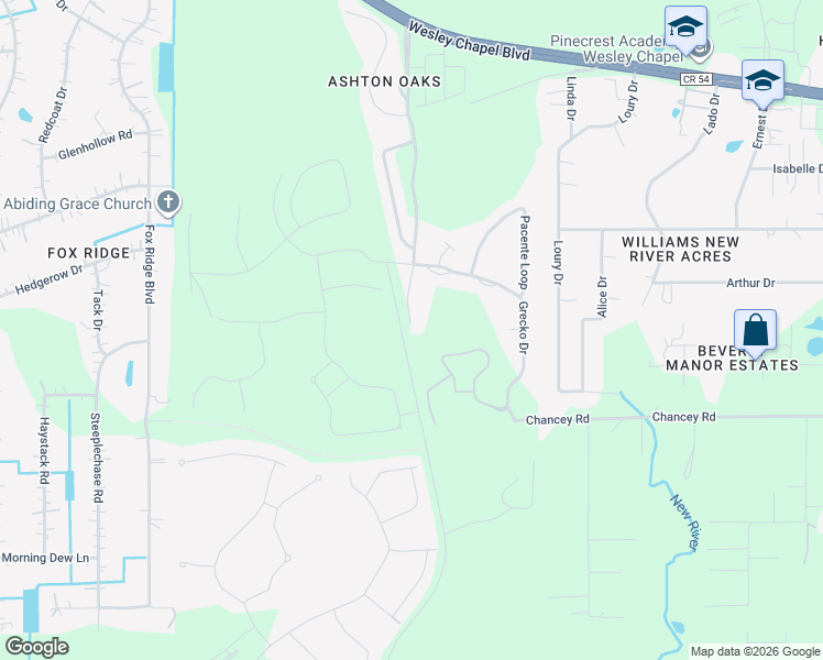 map of restaurants, bars, coffee shops, grocery stores, and more near 3701 Ashton Oaks Boulevard in Wesley Chapel