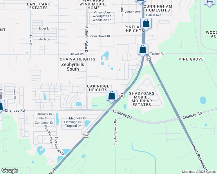map of restaurants, bars, coffee shops, grocery stores, and more near 38201 Salem Avenue in Zephyrhills