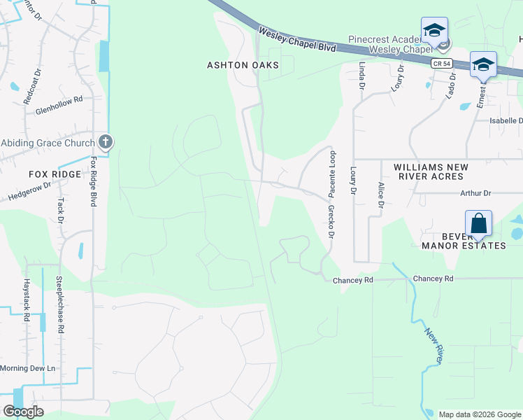 map of restaurants, bars, coffee shops, grocery stores, and more near 3728 Ashton Oaks Boulevard in Wesley Chapel