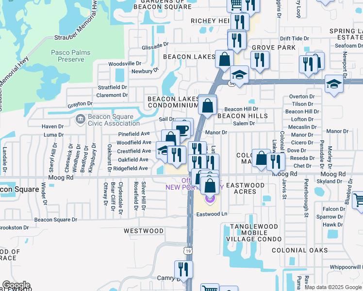 map of restaurants, bars, coffee shops, grocery stores, and more near 3705 U.S. 19 in New Port Richey