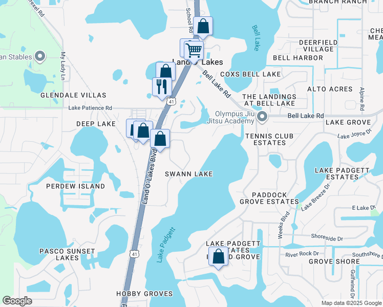 map of restaurants, bars, coffee shops, grocery stores, and more near 3740 Swans Landing Drive in Land O' Lakes