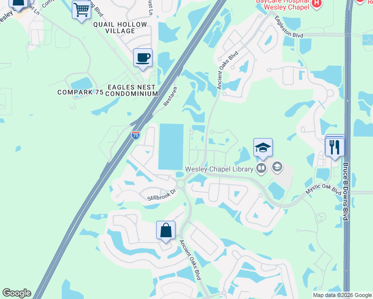map of restaurants, bars, coffee shops, grocery stores, and more near 3807 Fawnmist Drive in Wesley Chapel