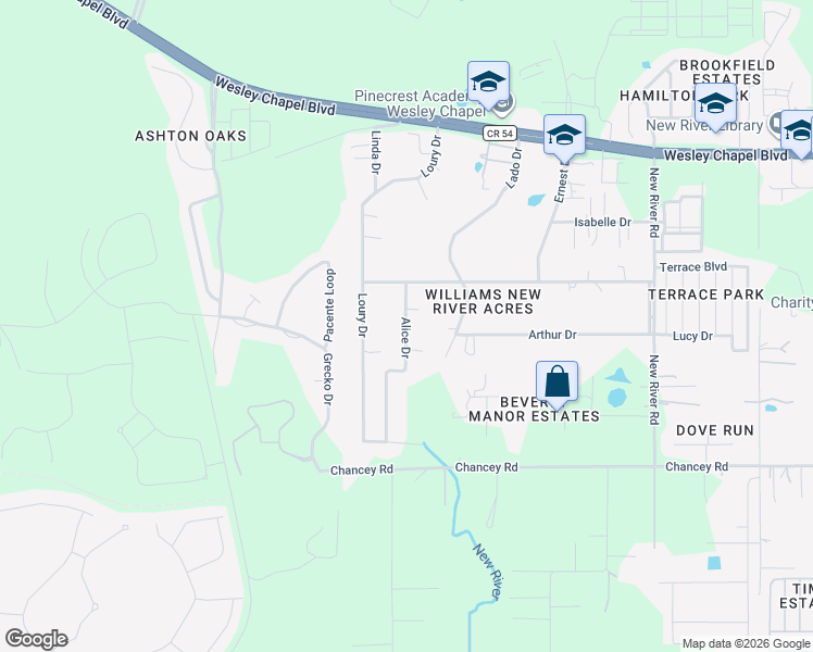 map of restaurants, bars, coffee shops, grocery stores, and more near 3822 Alice Drive in Wesley Chapel