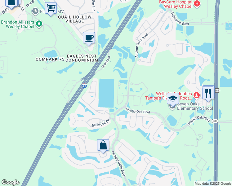 map of restaurants, bars, coffee shops, grocery stores, and more near 3837 Fawnmist Drive in Wesley Chapel