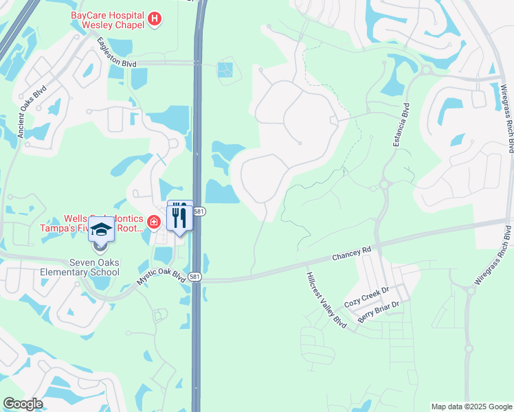map of restaurants, bars, coffee shops, grocery stores, and more near 28712 Picana Lane in Wesley Chapel