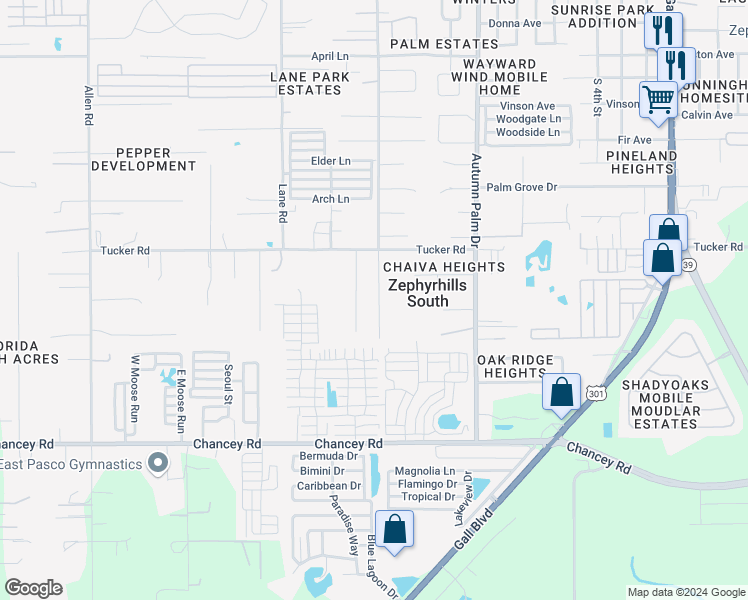 map of restaurants, bars, coffee shops, grocery stores, and more near 3835 Court Street in Zephyrhills