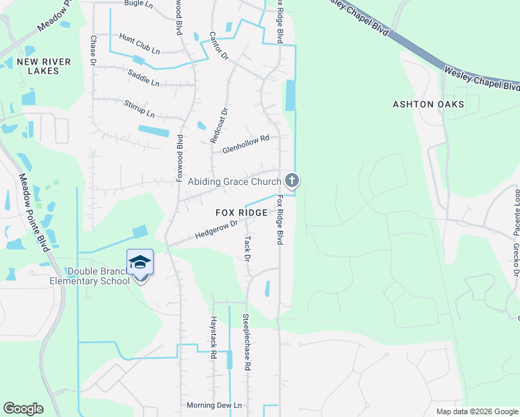 map of restaurants, bars, coffee shops, grocery stores, and more near 32007 Hedgerow Drive in Wesley Chapel