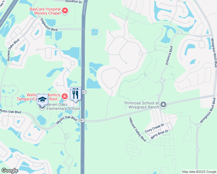 map of restaurants, bars, coffee shops, grocery stores, and more near 28712 Picana Lane in Wesley Chapel
