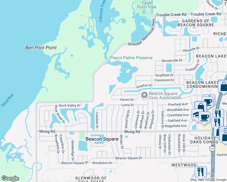 map of restaurants, bars, coffee shops, grocery stores, and more near 3641 Grayton Drive in New Port Richey