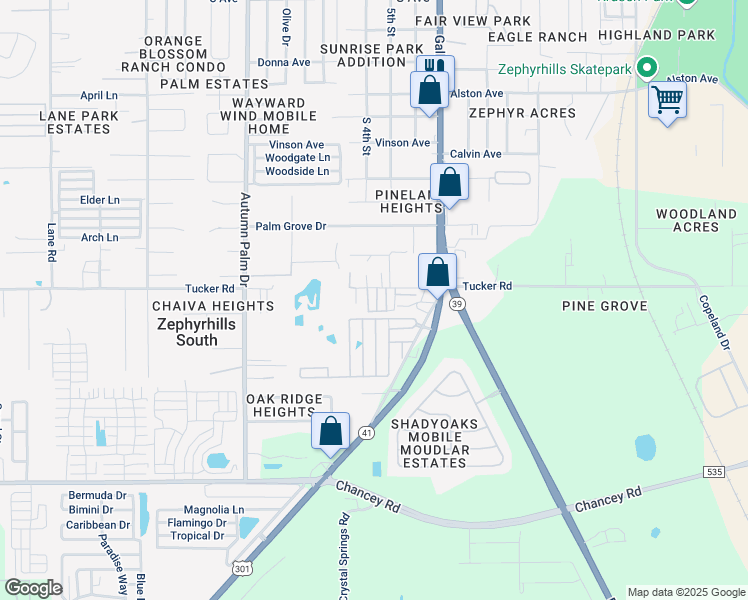 map of restaurants, bars, coffee shops, grocery stores, and more near 48 Argyle Street in Zephyrhills