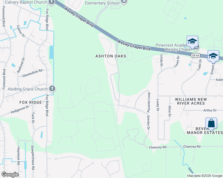 map of restaurants, bars, coffee shops, grocery stores, and more near 4001 Constantine Loop in Wesley Chapel