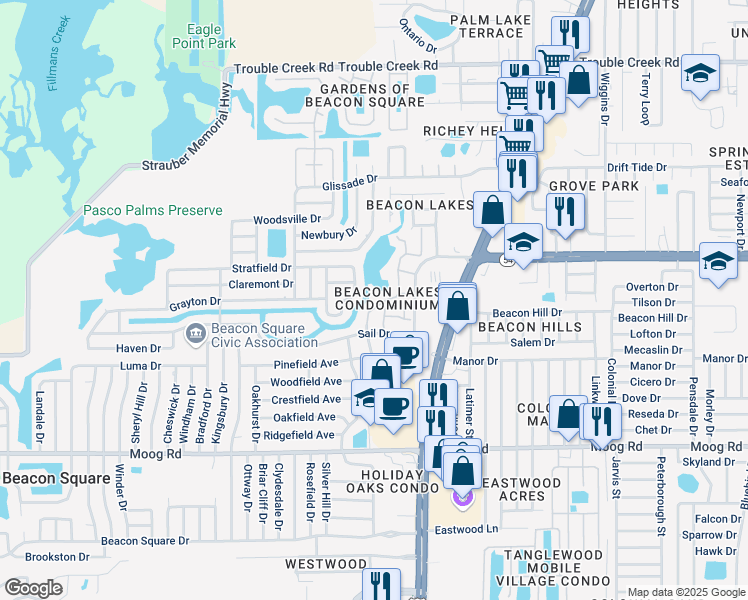 map of restaurants, bars, coffee shops, grocery stores, and more near 4227 Pelorus Drive in New Port Richey