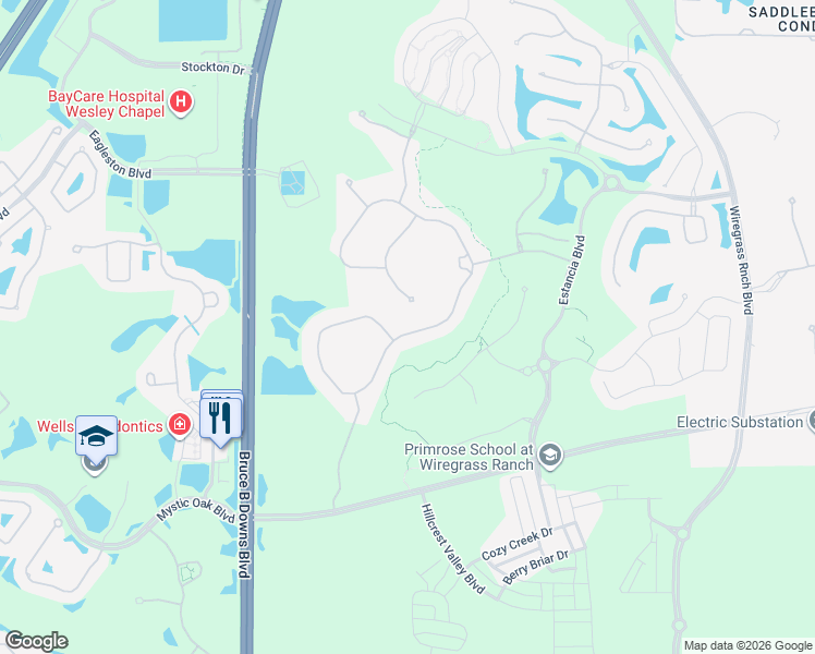 map of restaurants, bars, coffee shops, grocery stores, and more near 4109 Frontera Lane in Wesley Chapel