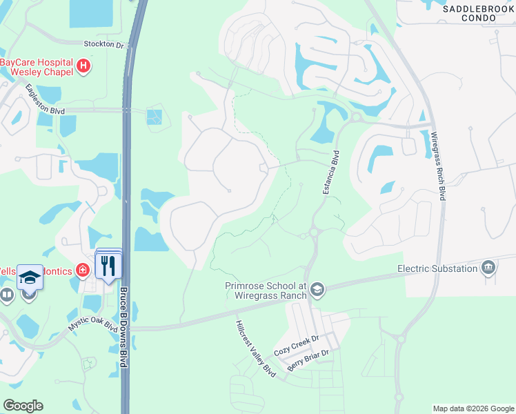 map of restaurants, bars, coffee shops, grocery stores, and more near 29153 Picana Lane in Wesley Chapel