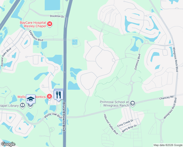map of restaurants, bars, coffee shops, grocery stores, and more near 28383 Picana Lane in Wesley Chapel