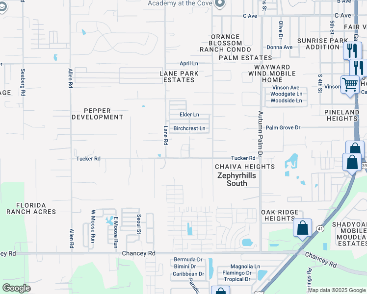 map of restaurants, bars, coffee shops, grocery stores, and more near 4050 Lane Road in Zephyrhills