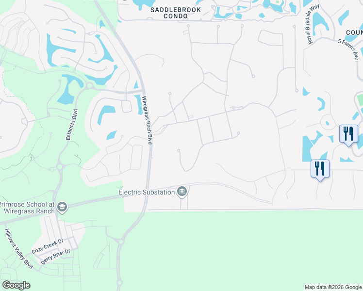 map of restaurants, bars, coffee shops, grocery stores, and more near 29171 Ginnetto Drive in Wesley Chapel