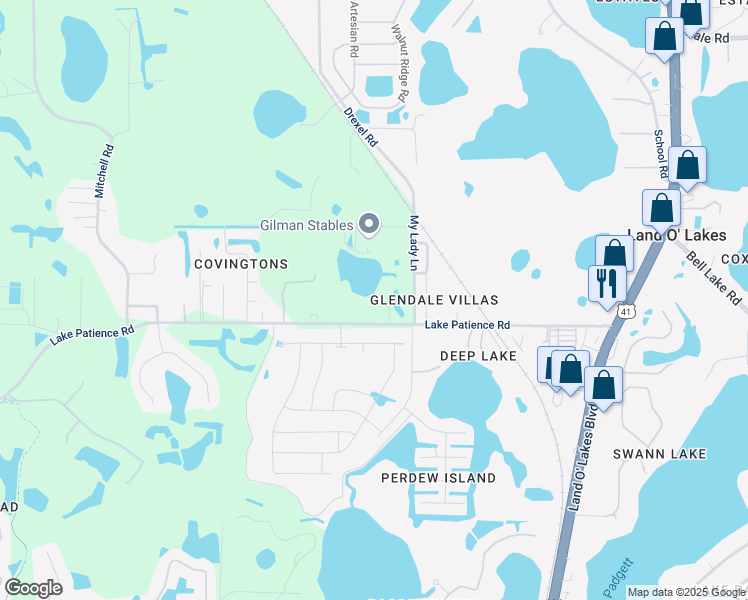 map of restaurants, bars, coffee shops, grocery stores, and more near 20847 Lake Patience Road in Land O' Lakes