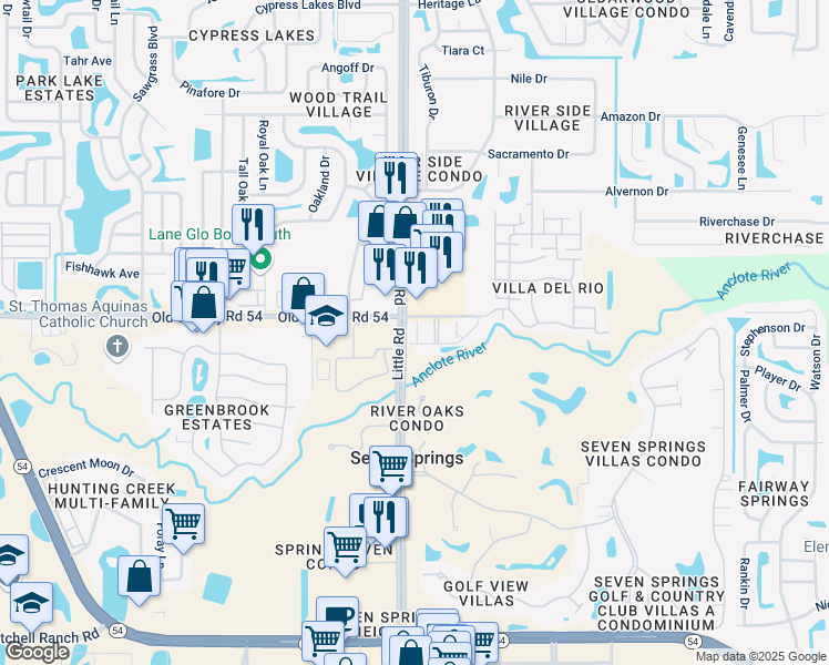 map of restaurants, bars, coffee shops, grocery stores, and more near 3941 Elvira Court in New Port Richey