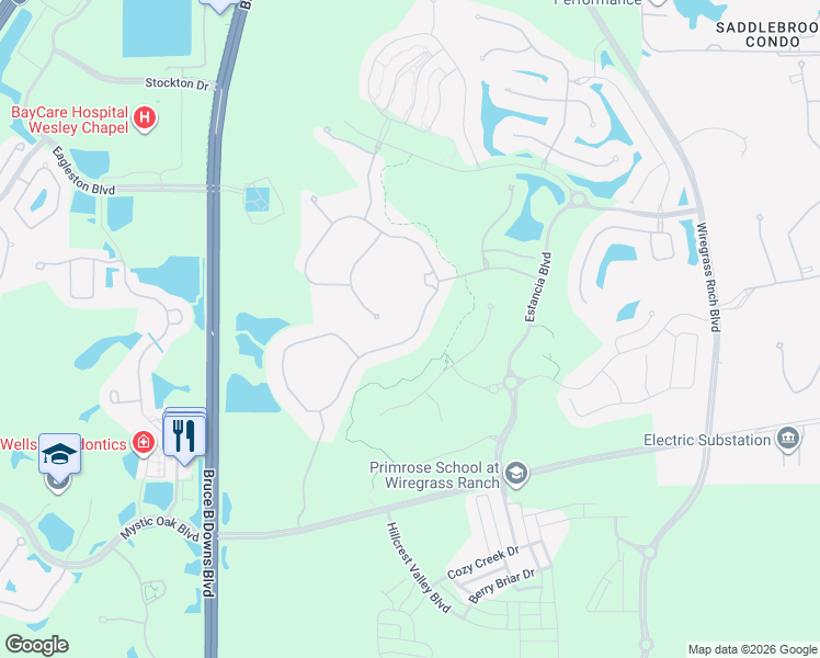map of restaurants, bars, coffee shops, grocery stores, and more near 29153 Picana Lane in Wesley Chapel