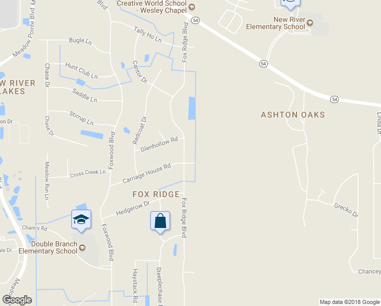 map of restaurants, bars, coffee shops, grocery stores, and more near 4102 Fox Ridge Boulevard in Wesley Chapel