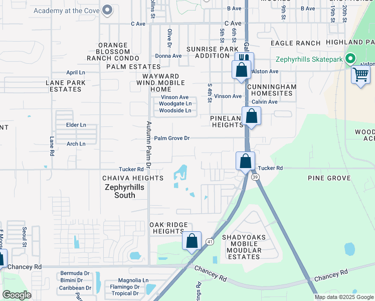map of restaurants, bars, coffee shops, grocery stores, and more near 38147 Huff Drive in Zephyrhills