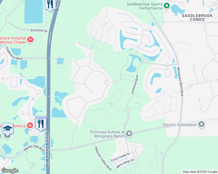 map of restaurants, bars, coffee shops, grocery stores, and more near 29256 Picana Lane in Wesley Chapel