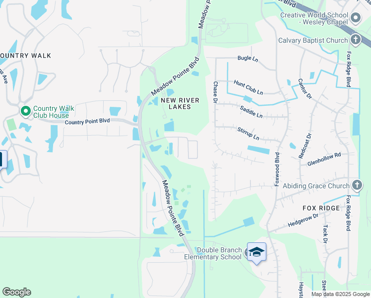 map of restaurants, bars, coffee shops, grocery stores, and more near 4207 Branchside Lane in Wesley Chapel