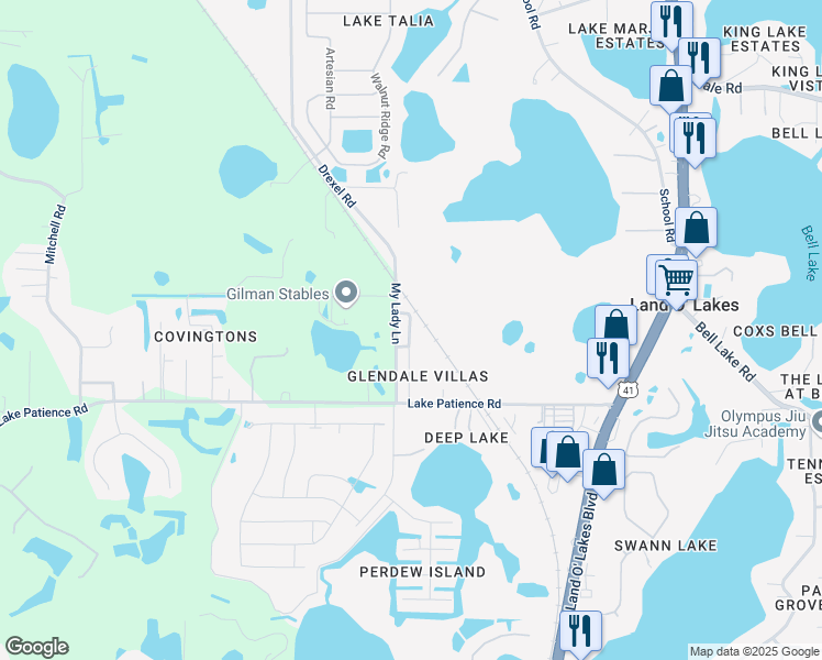 map of restaurants, bars, coffee shops, grocery stores, and more near 4201 My Lady Lane in Land O' Lakes
