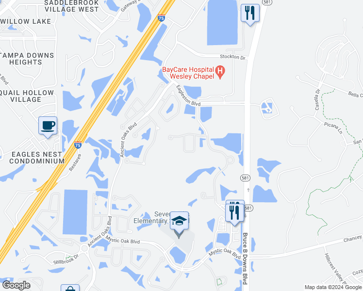 map of restaurants, bars, coffee shops, grocery stores, and more near 4114 Granite Glen Loop in Wesley Chapel