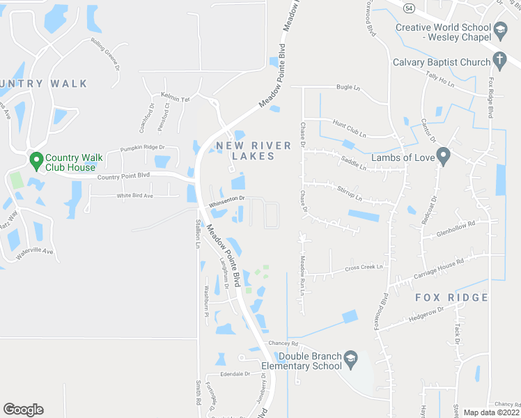 map of restaurants, bars, coffee shops, grocery stores, and more near 4217 Branchside Lane in Wesley Chapel