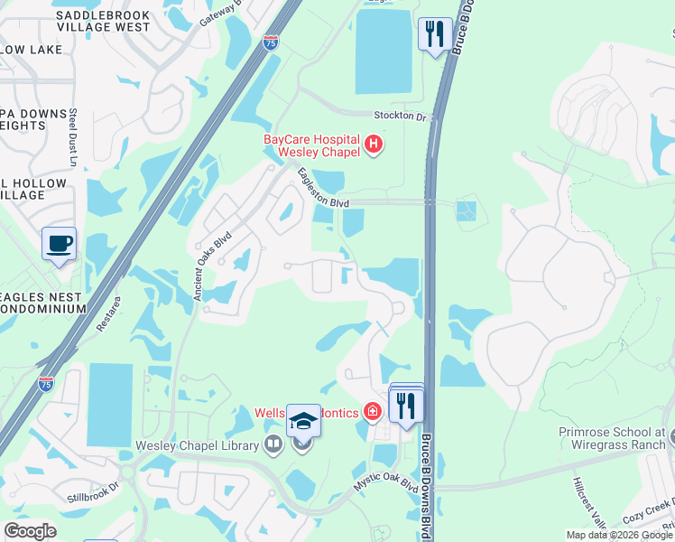map of restaurants, bars, coffee shops, grocery stores, and more near 4228 Granite Glen Loop in Wesley Chapel