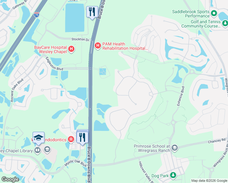 map of restaurants, bars, coffee shops, grocery stores, and more near 5300-5304 Bruce B Downs Boulevard in Wesley Chapel