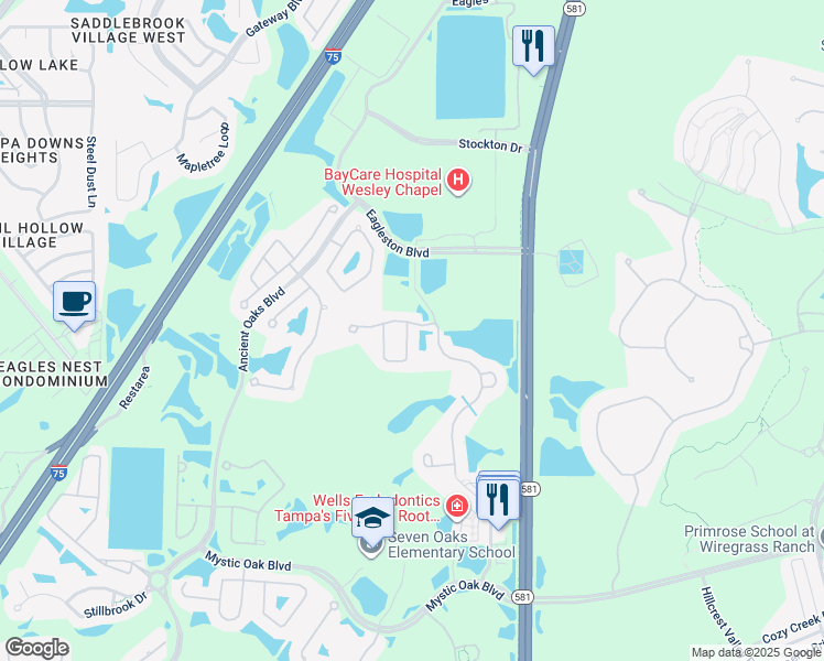 map of restaurants, bars, coffee shops, grocery stores, and more near 4234 Granite Glen Loop in Wesley Chapel