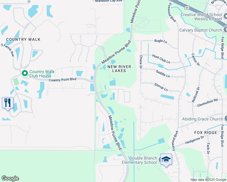 map of restaurants, bars, coffee shops, grocery stores, and more near 4202 Edenrock Place in Wesley Chapel