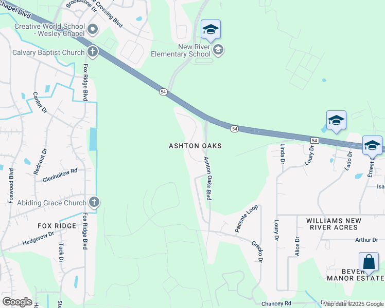 map of restaurants, bars, coffee shops, grocery stores, and more near 4236 Ashton Meadows Way in Wesley Chapel