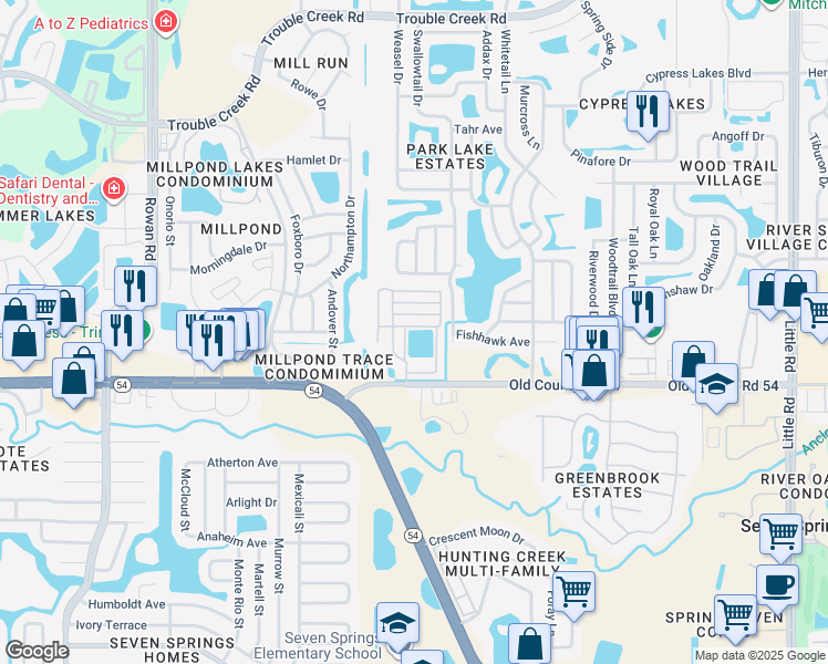 map of restaurants, bars, coffee shops, grocery stores, and more near 8039 Old County Road 54 in New Port Richey