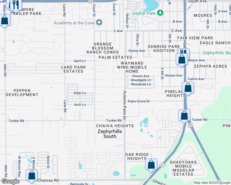 map of restaurants, bars, coffee shops, grocery stores, and more near 4221 Autumn Palm Drive in Zephyrhills