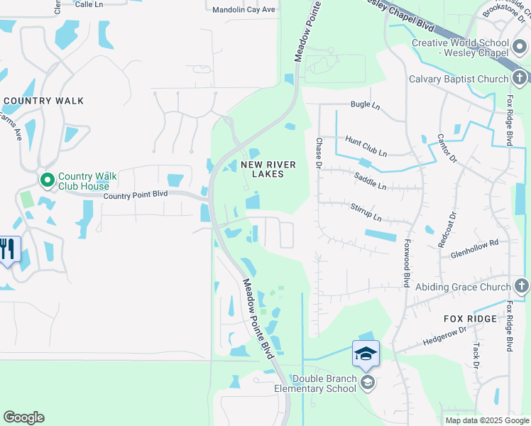 map of restaurants, bars, coffee shops, grocery stores, and more near 31153 Whinsenton Drive in Wesley Chapel