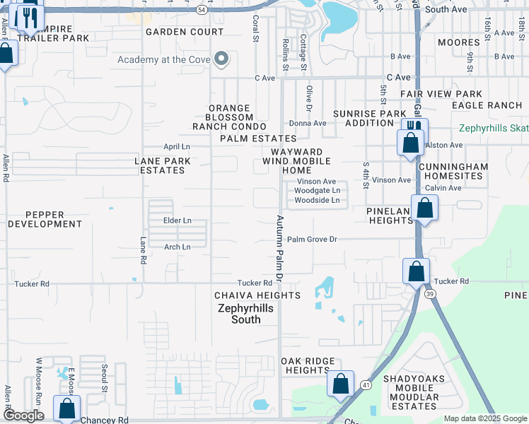 map of restaurants, bars, coffee shops, grocery stores, and more near 4221 Autumn Palm Drive in Zephyrhills