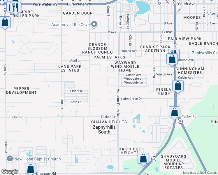 map of restaurants, bars, coffee shops, grocery stores, and more near 4221 Autumn Palm Drive in Zephyrhills