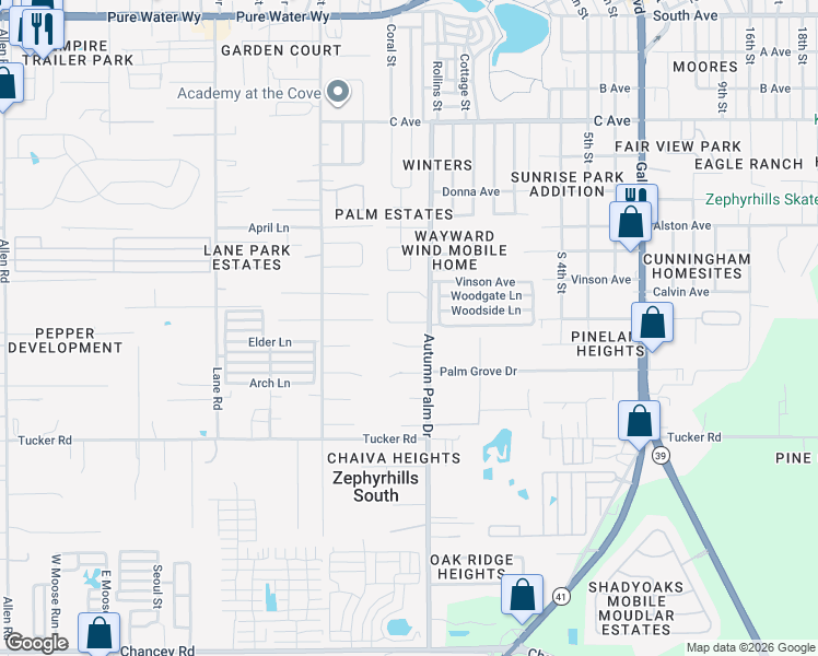 map of restaurants, bars, coffee shops, grocery stores, and more near 4221 Autumn Palm Drive in Zephyrhills