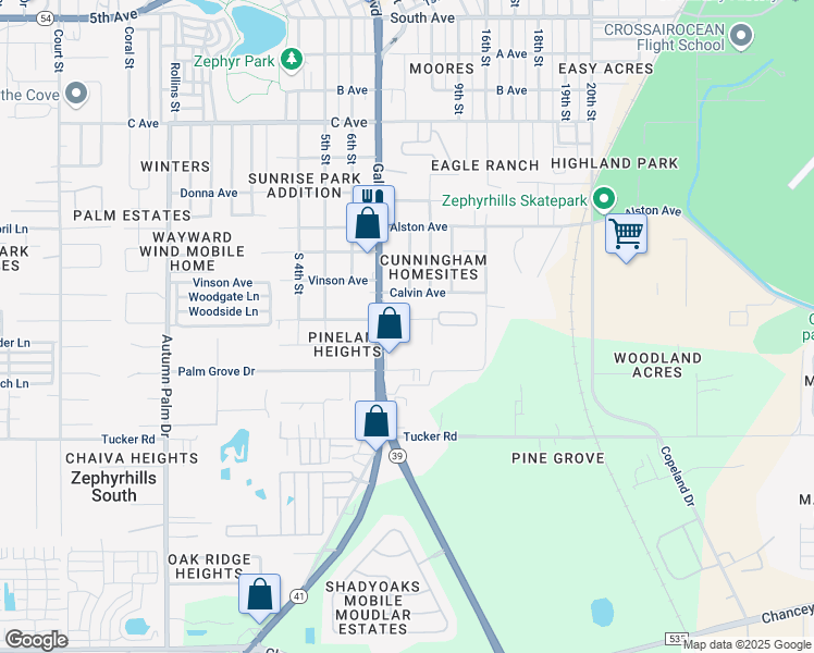 map of restaurants, bars, coffee shops, grocery stores, and more near 38532 Fir Avenue in Zephyrhills