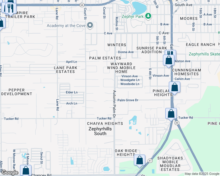 map of restaurants, bars, coffee shops, grocery stores, and more near 4221 Autumn Palm Drive in Zephyrhills