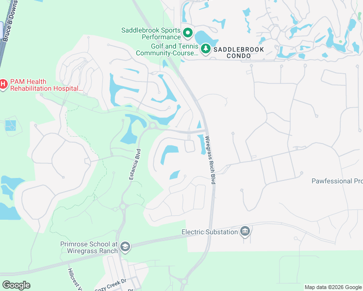 map of restaurants, bars, coffee shops, grocery stores, and more near 4623 Barletta Court in Wesley Chapel