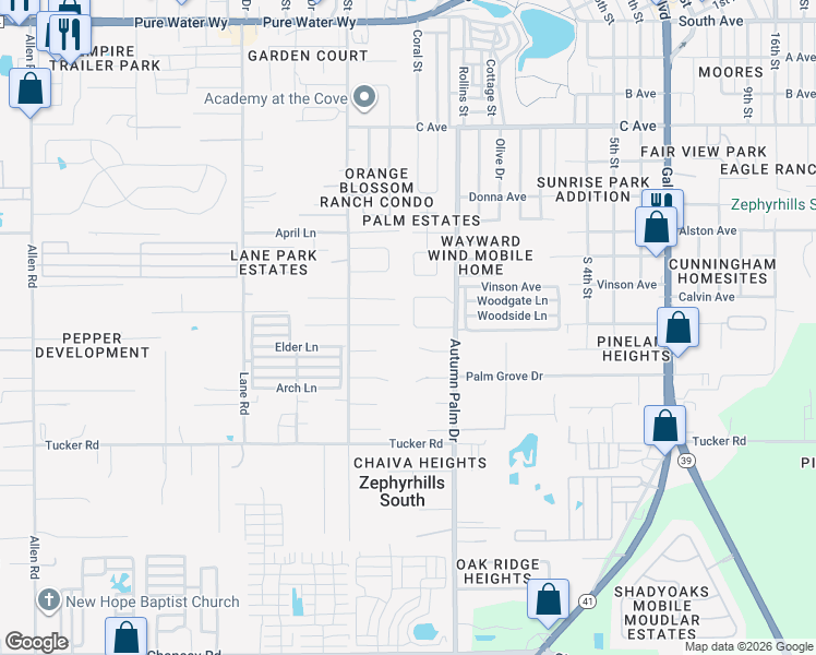 map of restaurants, bars, coffee shops, grocery stores, and more near 4221 Autumn Palm Drive in Zephyrhills