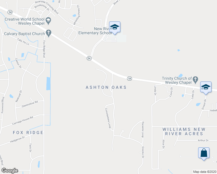 map of restaurants, bars, coffee shops, grocery stores, and more near 4251 Angelica Loop in Wesley Chapel